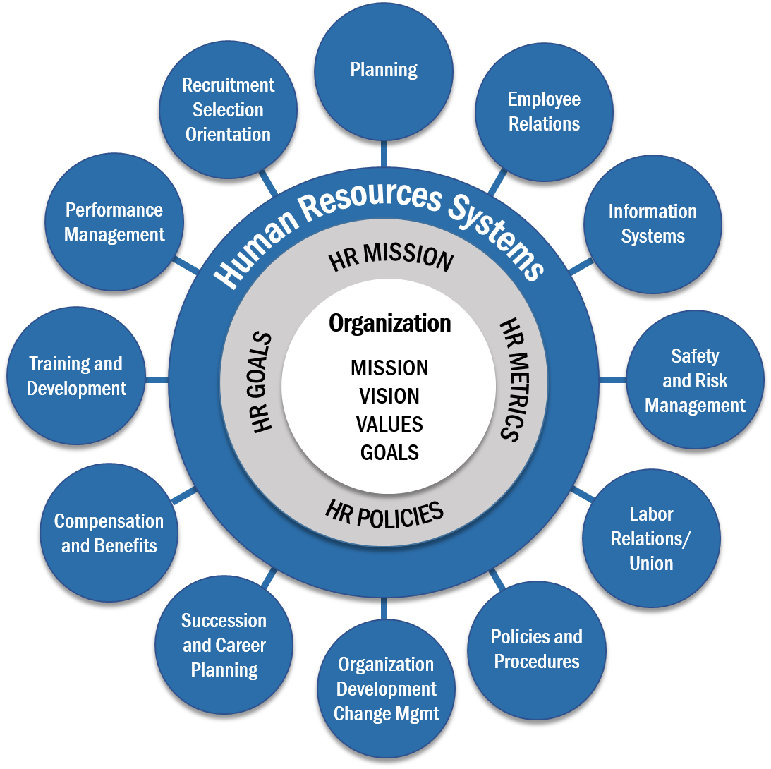 Human Resources Model OEC STRATEGIC SOLUTIONS